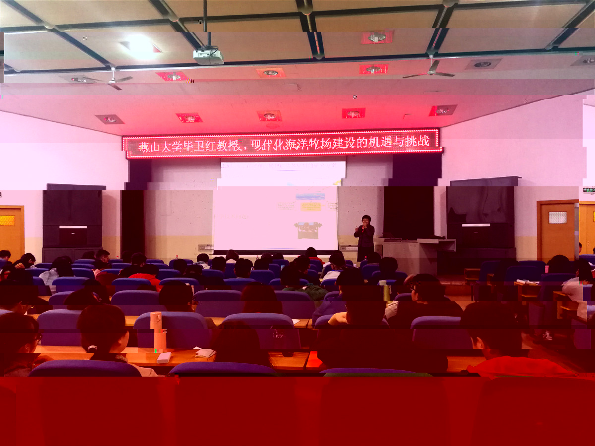 畢衛紅報告_meitu_1