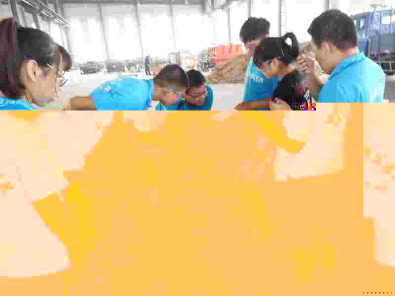 D887611BFBB9E4EA486CD94DC8495795
